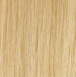 HM 24R