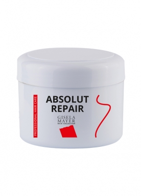 Absolut Repair HH 200 ml