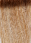 BM Danish-Blond-Root