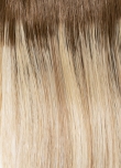 Champagne-Ash-Root