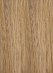 Sandyblonde Rooted - EH