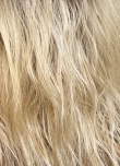 14/26+12 Dark Blond Balayage