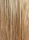 RV Golden Blonde