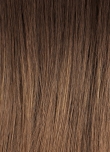 Chocolate Tipped