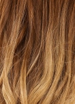 Chestnut/Blond-Ombre - HH