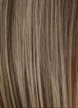 12/27/16+12 Honey Mix Balayage