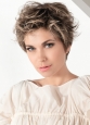 Posh | Bernstein Rooted
