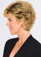 Swept Back Short Cut | SS25